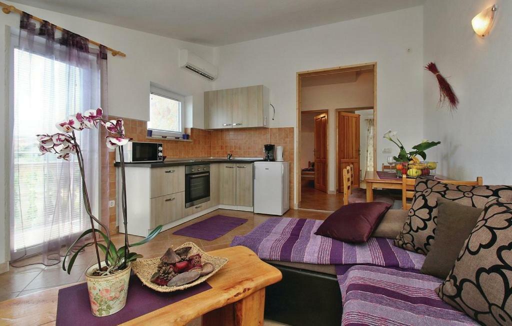 Apartments Vesna Nova Vas  Εξωτερικό φωτογραφία