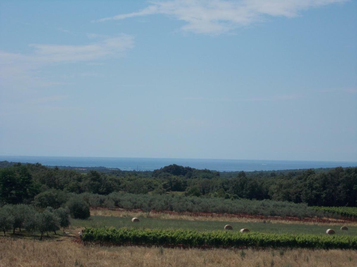 Apartments Vesna Nova Vas  Εξωτερικό φωτογραφία